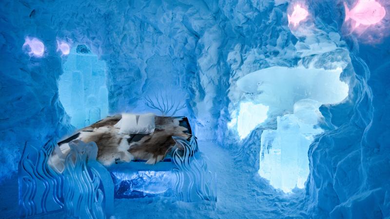 An art suite of sea life in ice and snow at Icehotel